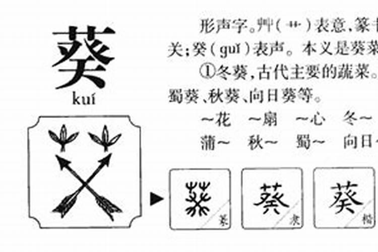 葵的五行属性是什么