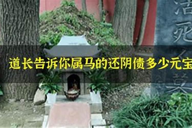 八字的元神是什么意思呀