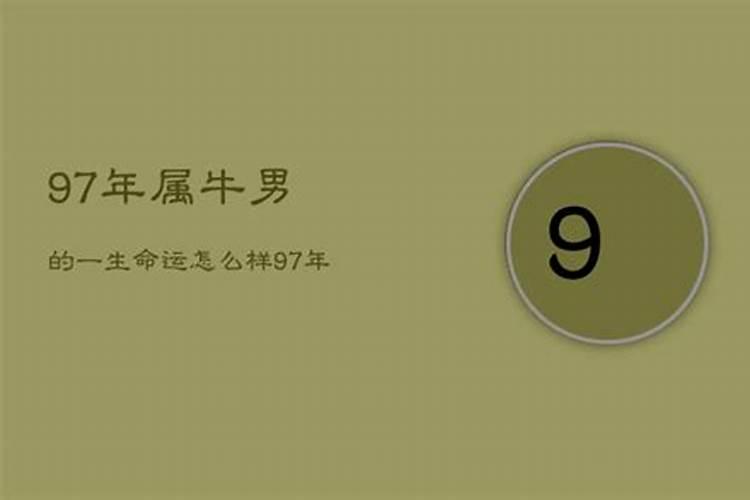 1997年属牛的男人一生运程