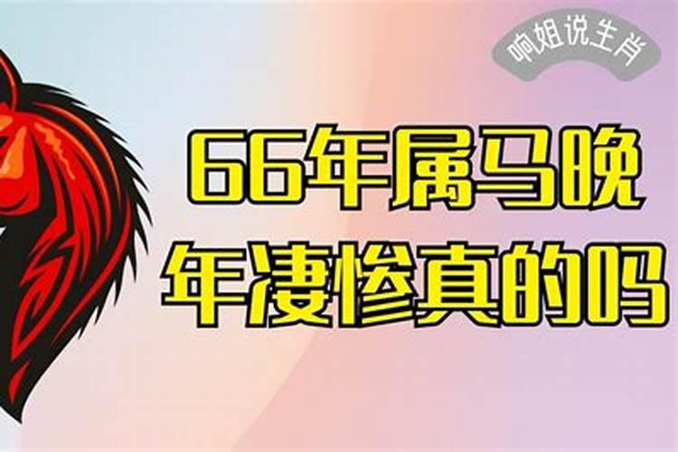 66年属马晚年凄惨