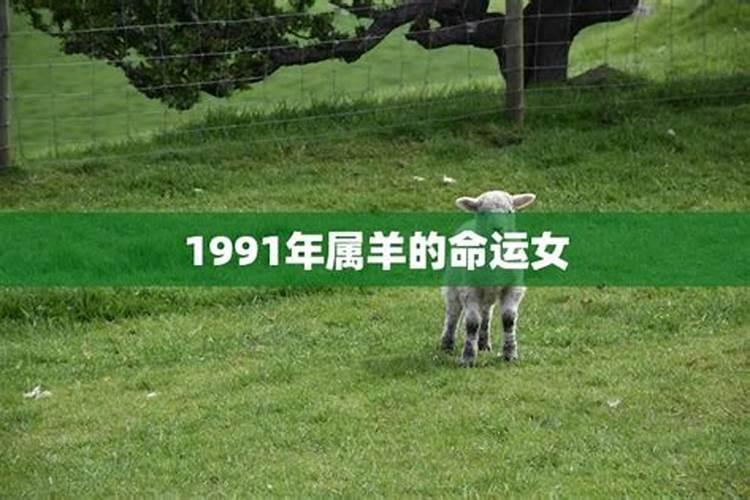 1991年正月出生的羊2020年运势