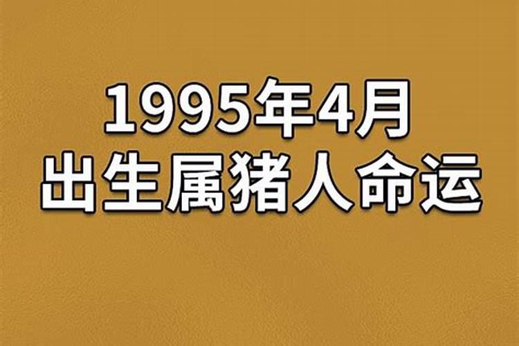 农历1995年9月11运势如何