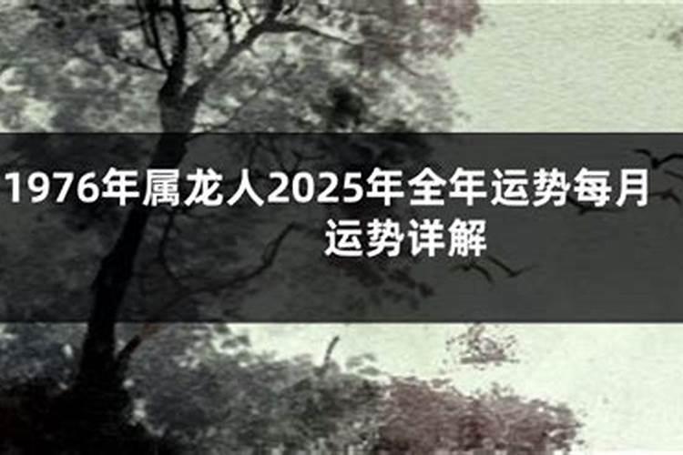 属龙人2024年运势如何