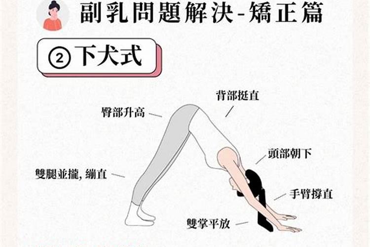 八字命理怎么解释乳房