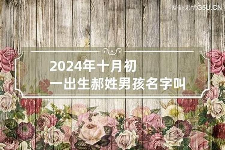 70年属狗2024年的运势运程