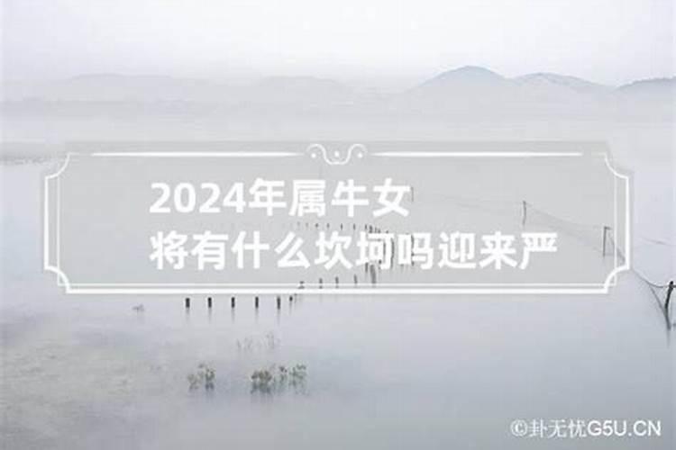 1982年2024年运势如何