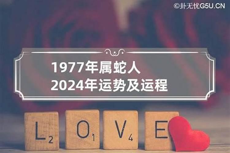 1977年属蛇人2024年运势男性