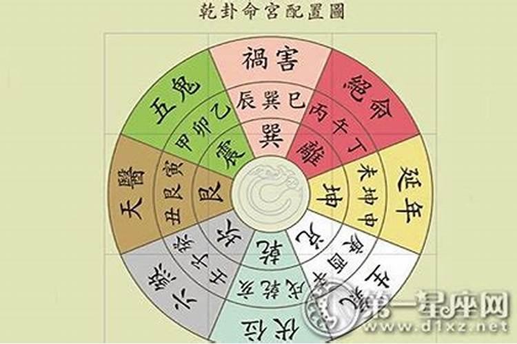 怎么看八字中的十神合不合