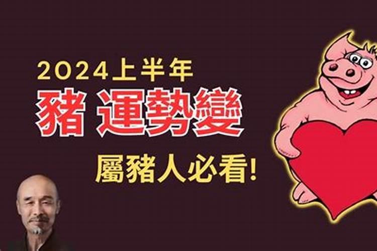 属羊人2023年运程如何