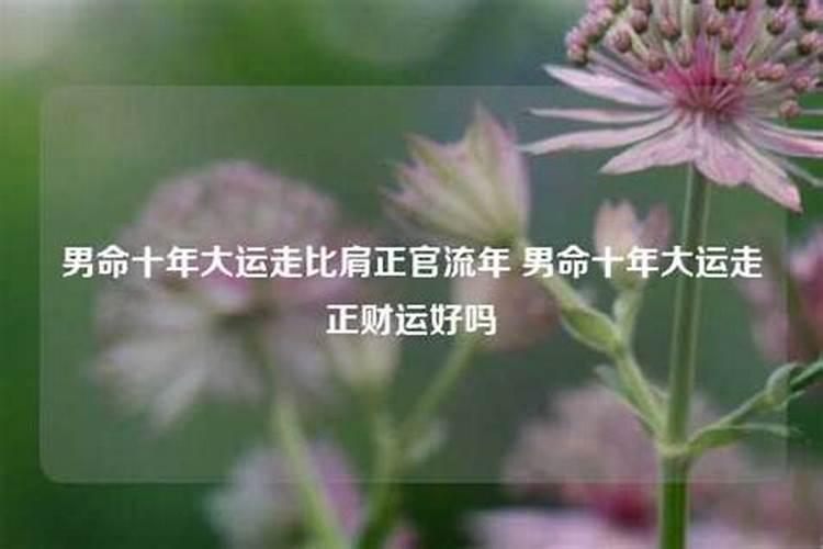 十年比肩大运预示什么