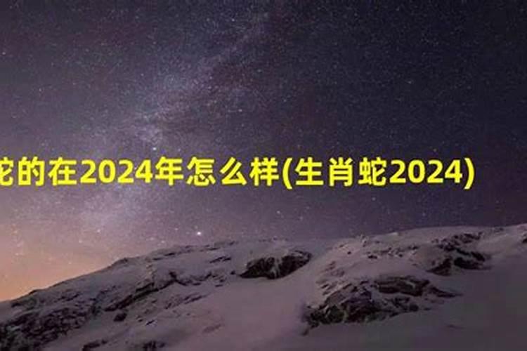 属蛇的在2024年怎么样