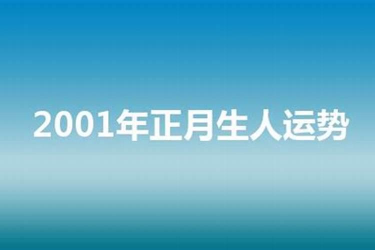 属狗2019运势