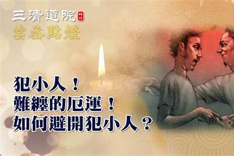 鼠牛属相合不合家人呢