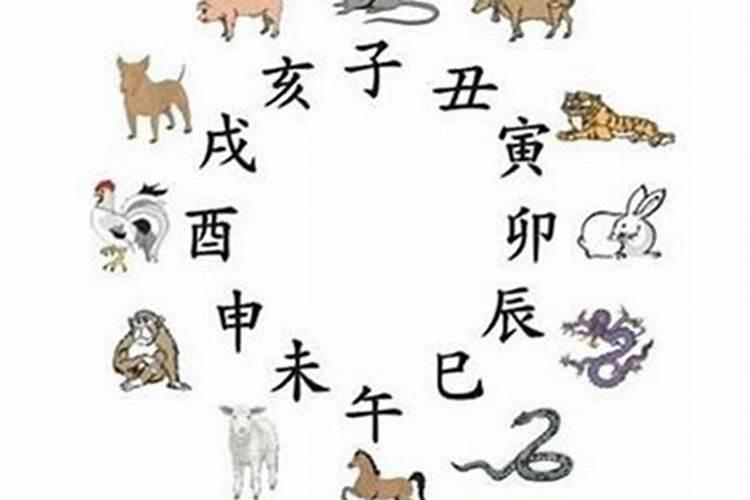 夏天属虎男宝的名字