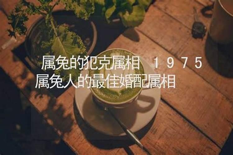 1975属兔人的最佳婚配属相