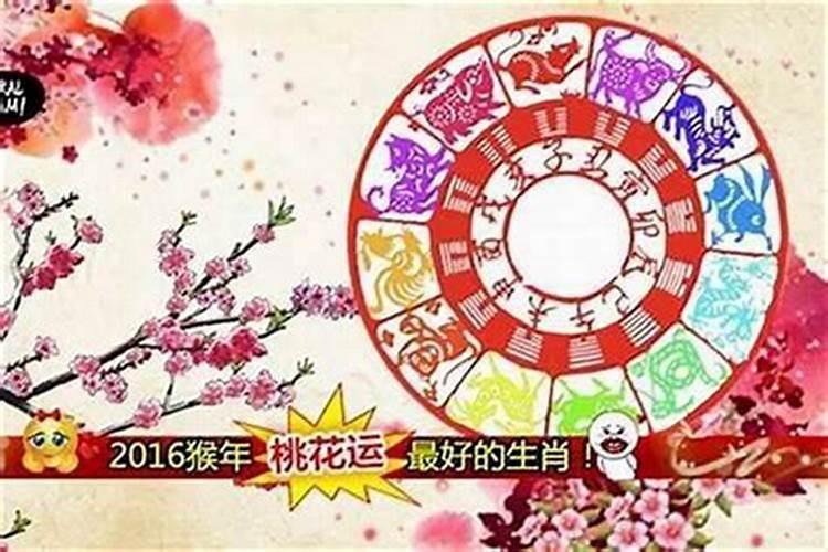 今年桃花运最好的5个生肖