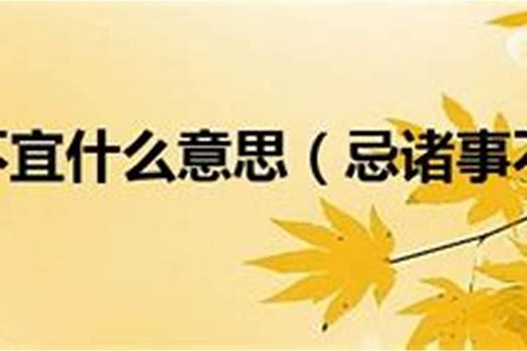 1990年正月初四是什么属相