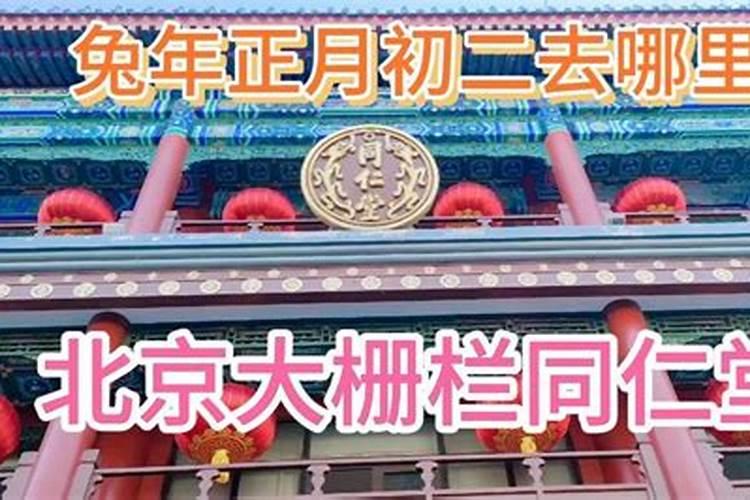 八字不合孤苦无依是什么动物