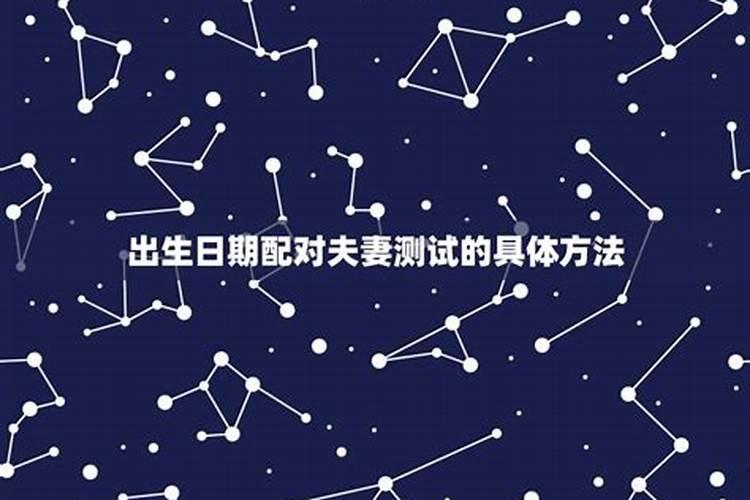 梦见一只老公鸡