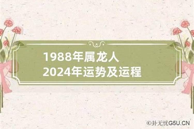 1988年属龙男运势及运程