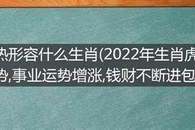 抓捕是什么生肖