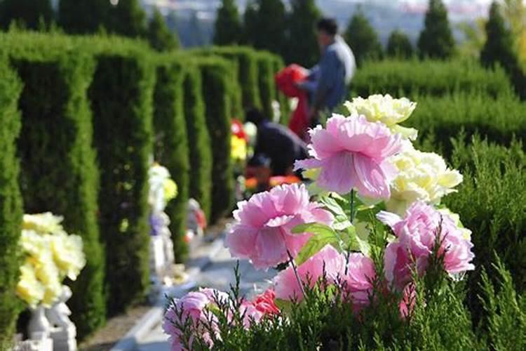 今日寒衣节活动有哪些节日