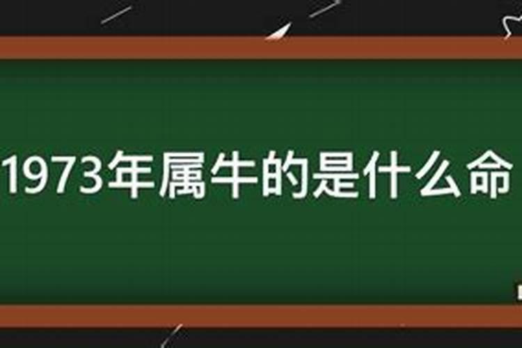 本命年梦到洪水代表什么