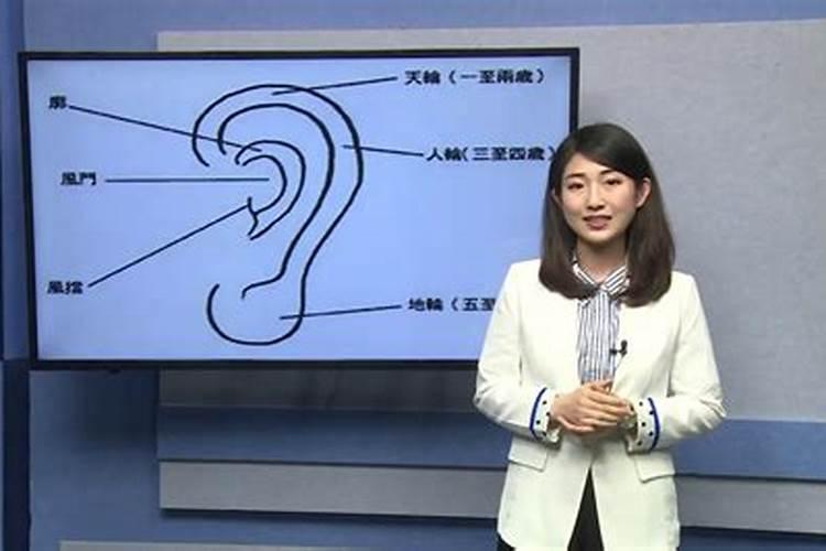 1973牛年运势2021年运势12生肖