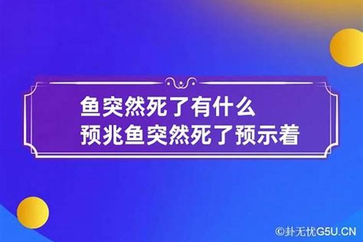 怀孕梦见被人追是什么意思