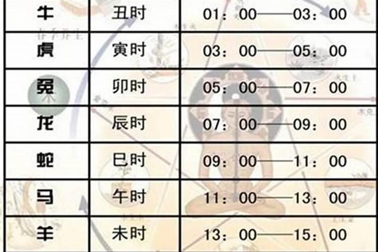 2017运程十二生肖运程解析大全