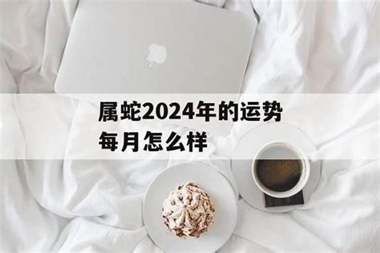 蛇年2024年的运势每月