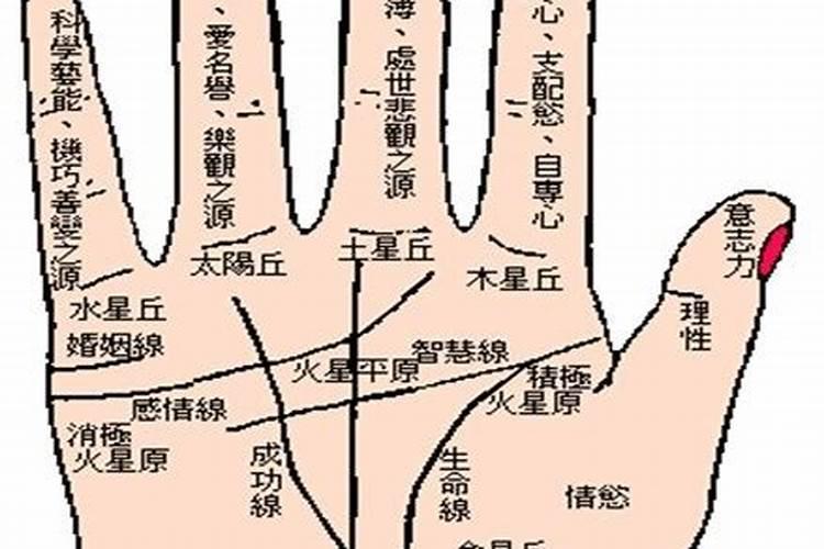 梦见陌生人男人跟我睡觉