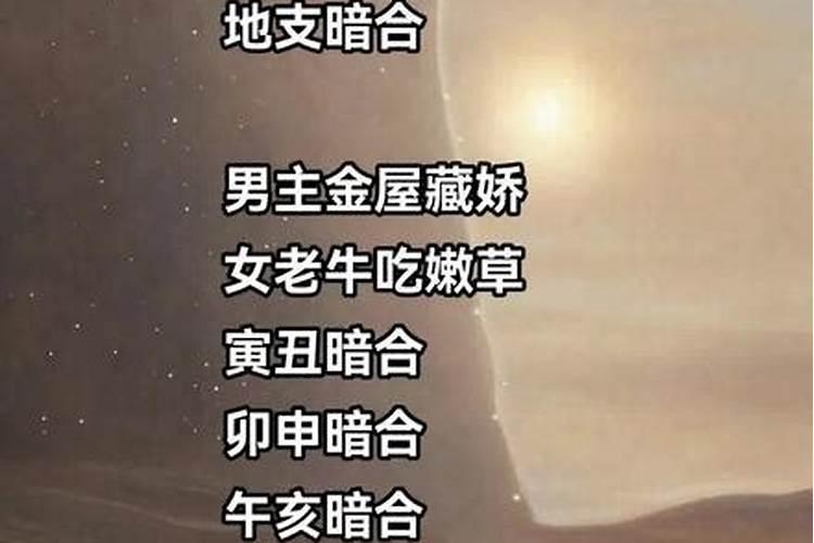 梦见水里救了一只狗