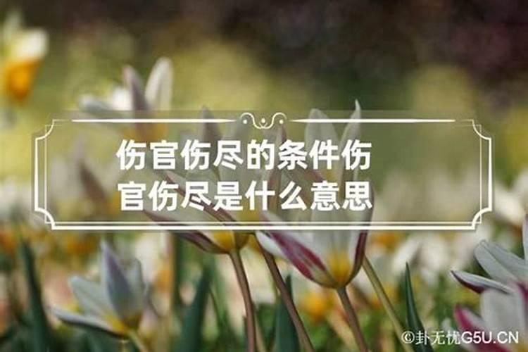 梦见牵着一头牛走路回家什么意思