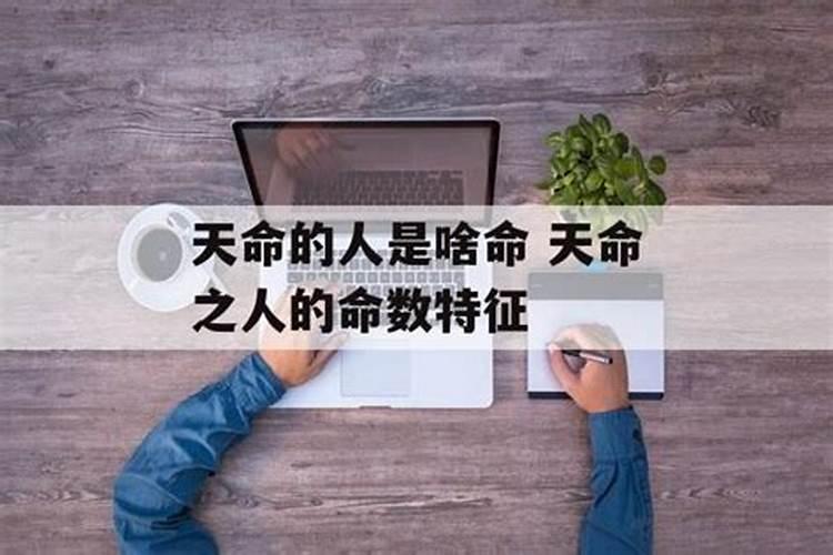 2021年属兔人的2月运势如何