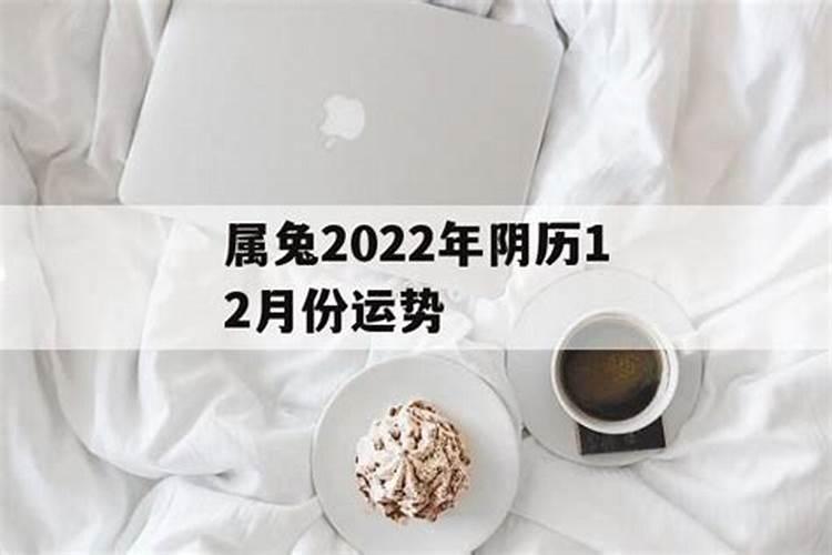 77年属蛇女2020年下半年运势每月运势