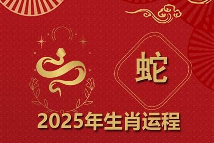 属蛇2025年运势转运时间