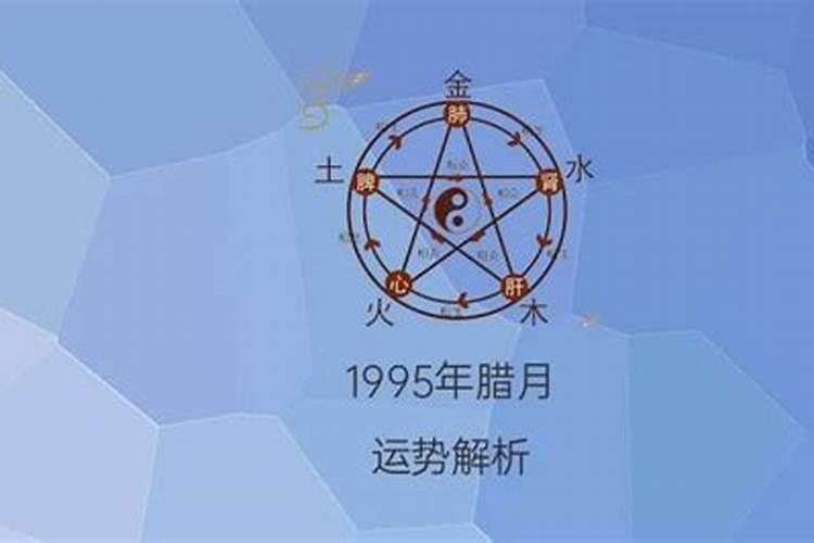 1995年腊月二十四今年运势