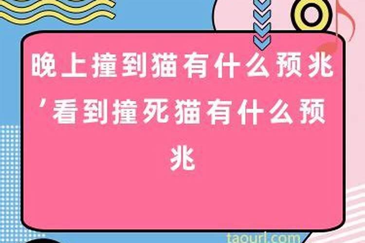 南方冬至民俗有哪些风俗活动