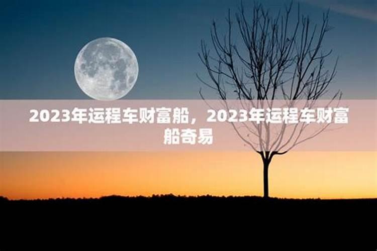 属虎2021年全年运势运程女性