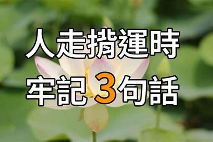 八字命理算命口诀秘传