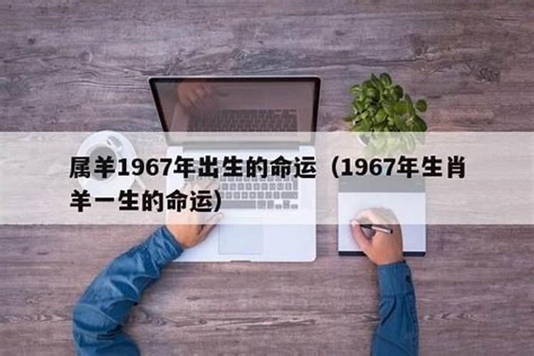 51岁属马2023年运程