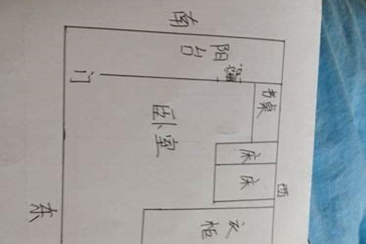 1959年属猪男2023年运程运势