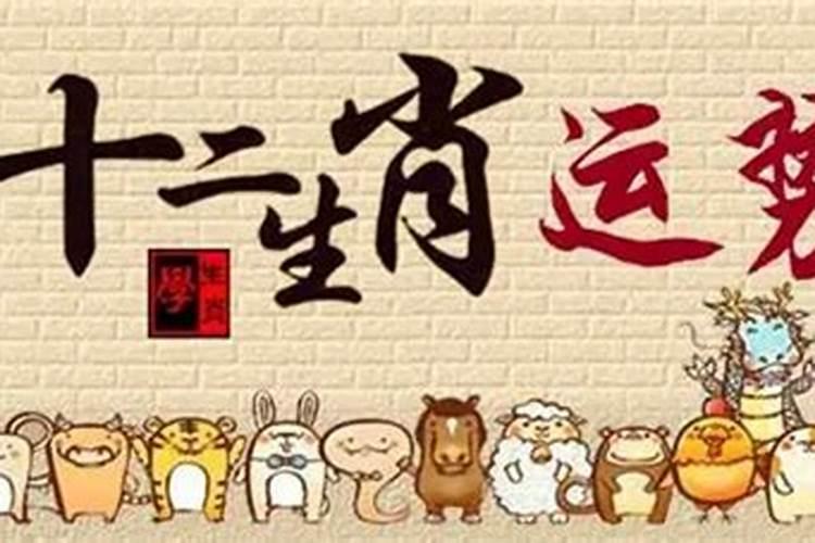 属龙易用的字