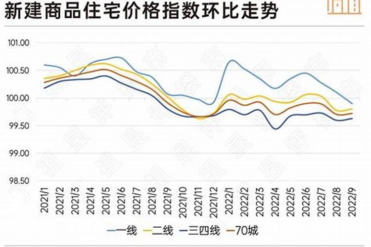 1991年9月份的羊命运