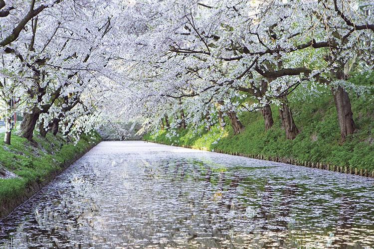 二零二一年正月初一财神方位几点