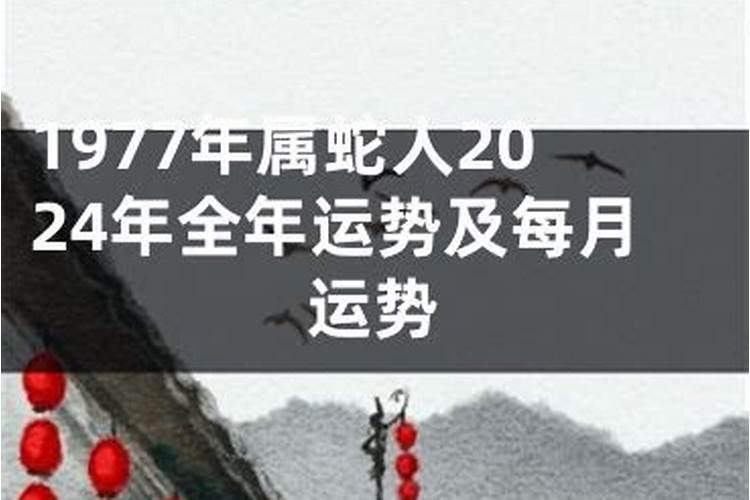 属鼠鼠年运势2020年