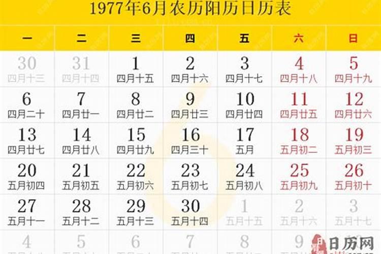 1977年农历六月二十一出生人运程