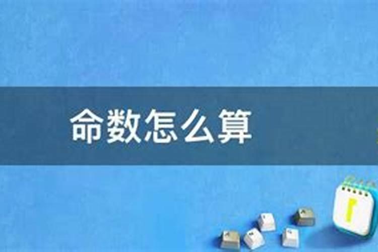 1996年8月初五出生运势怎么样