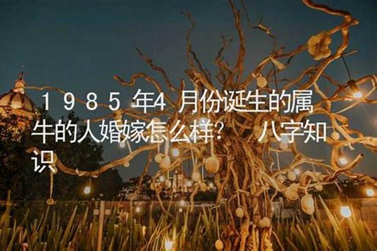 58年什么命五行什么命